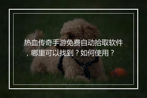 热血传奇手游免费自动拾取软件，哪里可以找到？如何使用？