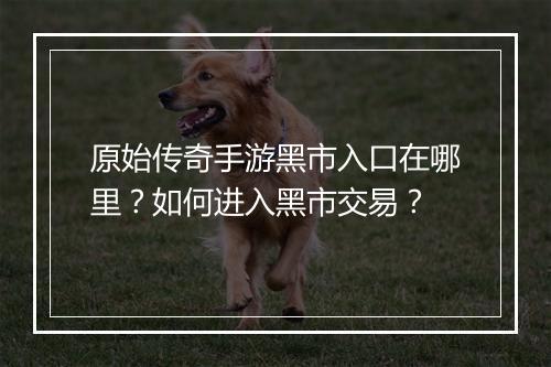 原始传奇手游黑市入口在哪里？如何进入黑市交易？