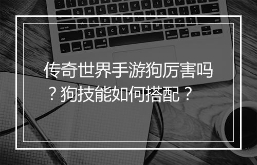 传奇世界手游狗厉害吗？狗技能如何搭配？