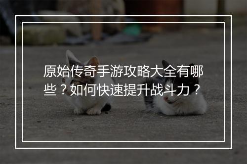 原始传奇手游攻略大全有哪些？如何快速提升战斗力？