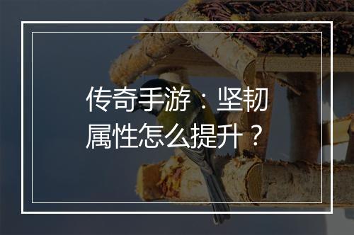 传奇手游：坚韧属性怎么提升？