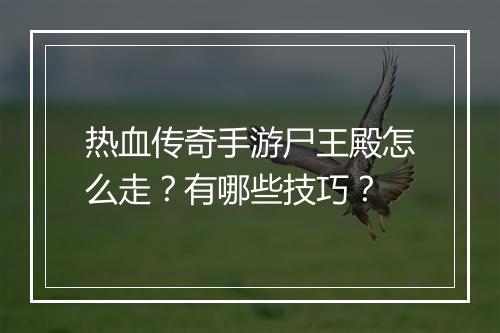热血传奇手游尸王殿怎么走？有哪些技巧？