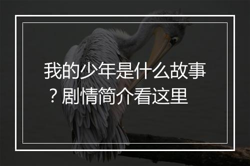 我的少年是什么故事？剧情简介看这里