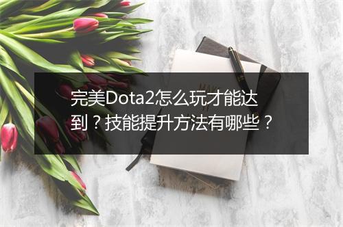 完美Dota2怎么玩才能达到？技能提升方法有哪些？