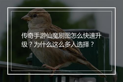 传奇手游仙魔刷图怎么快速升级？为什么这么多人选择？