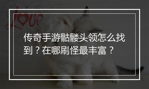 传奇手游骷髅头领怎么找到？在哪刷怪最丰富？