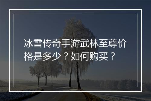 冰雪传奇手游武林至尊价格是多少？如何购买？