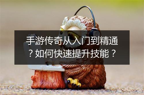 手游传奇从入门到精通？如何快速提升技能？