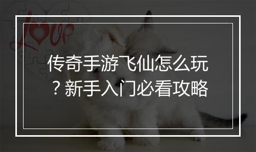 传奇手游飞仙怎么玩？新手入门必看攻略