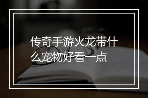 传奇手游火龙带什么宠物好看一点