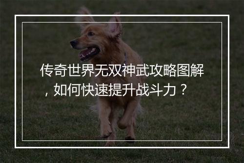 传奇世界无双神武攻略图解，如何快速提升战斗力？