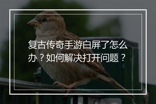 复古传奇手游白屏了怎么办？如何解决打开问题？