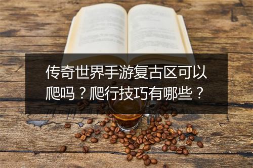 传奇世界手游复古区可以爬吗？爬行技巧有哪些？