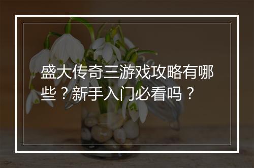 盛大传奇三游戏攻略有哪些？新手入门必看吗？