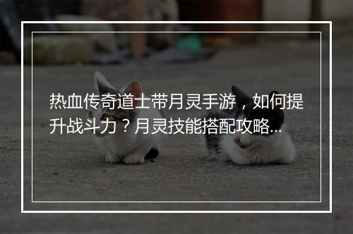 热血传奇道士带月灵手游，如何提升战斗力？月灵技能搭配攻略！