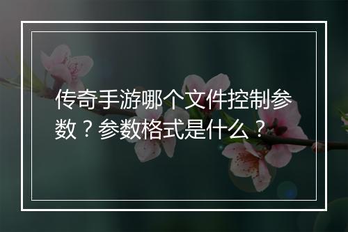 传奇手游哪个文件控制参数？参数格式是什么？