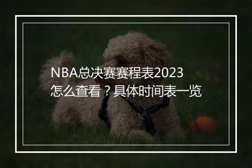 NBA总决赛赛程表2023怎么查看？具体时间表一览