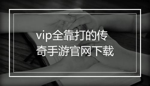 vip全靠打的传奇手游官网下载