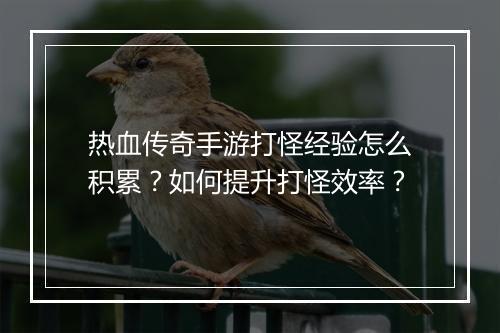 热血传奇手游打怪经验怎么积累？如何提升打怪效率？