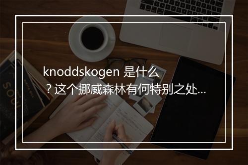 knoddskogen 是什么？这个挪威森林有何特别之处？