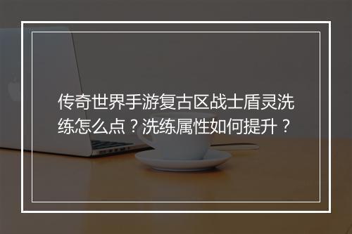 传奇世界手游复古区战士盾灵洗练怎么点？洗练属性如何提升？