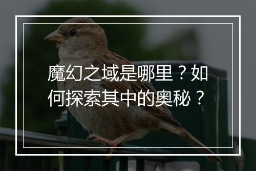魔幻之域是哪里？如何探索其中的奥秘？