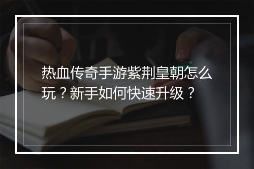 热血传奇手游紫荆皇朝怎么玩？新手如何快速升级？