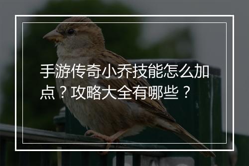 手游传奇小乔技能怎么加点？攻略大全有哪些？