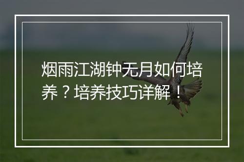 烟雨江湖钟无月如何培养？培养技巧详解！