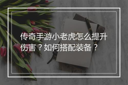 传奇手游小老虎怎么提升伤害？如何搭配装备？