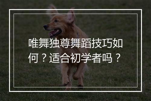 唯舞独尊舞蹈技巧如何？适合初学者吗？