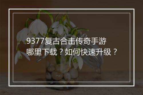 9377复古合击传奇手游哪里下载？如何快速升级？