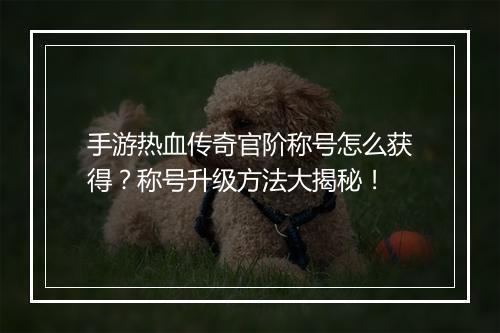 手游热血传奇官阶称号怎么获得？称号升级方法大揭秘！