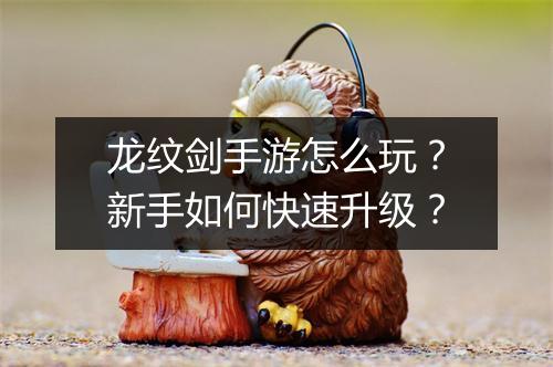 龙纹剑手游怎么玩？新手如何快速升级？