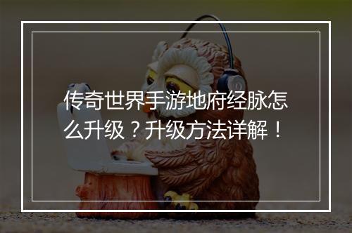 传奇世界手游地府经脉怎么升级？升级方法详解！