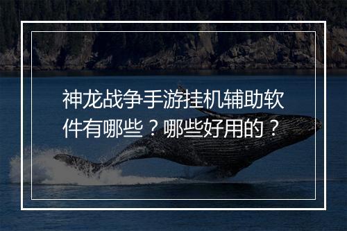神龙战争手游挂机辅助软件有哪些？哪些好用的？