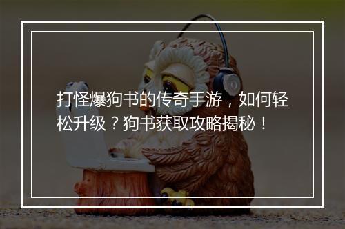 打怪爆狗书的传奇手游，如何轻松升级？狗书获取攻略揭秘！