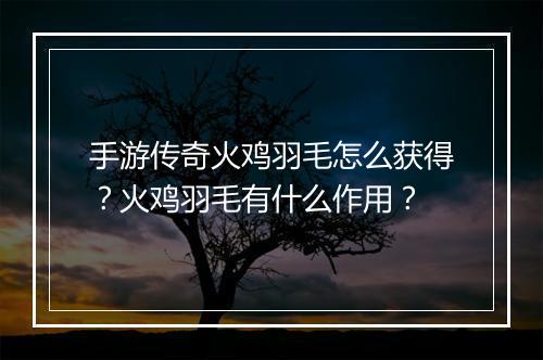 手游传奇火鸡羽毛怎么获得？火鸡羽毛有什么作用？