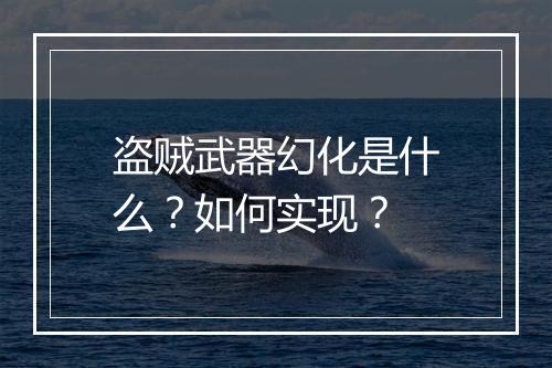 盗贼武器幻化是什么？如何实现？