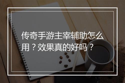 传奇手游主宰辅助怎么用？效果真的好吗？