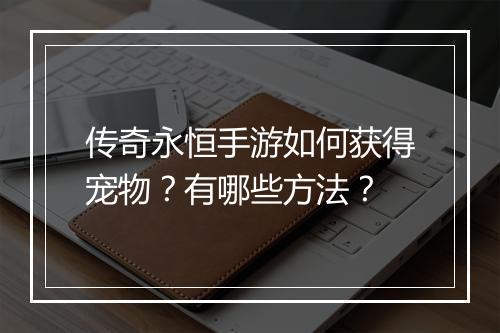 传奇永恒手游如何获得宠物？有哪些方法？