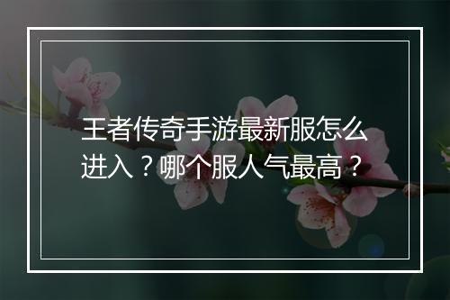 王者传奇手游最新服怎么进入？哪个服人气最高？