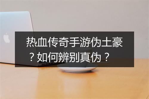 热血传奇手游伪土豪？如何辨别真伪？