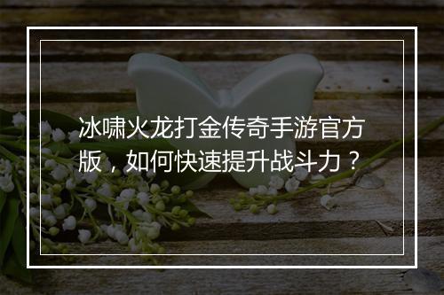 冰啸火龙打金传奇手游官方版，如何快速提升战斗力？