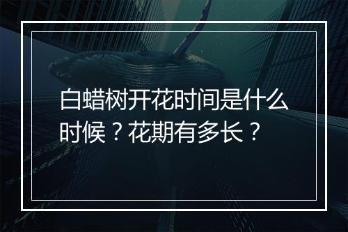 白蜡树开花时间是什么时候？花期有多长？