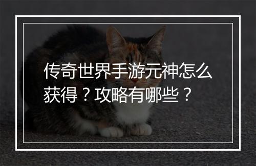 传奇世界手游元神怎么获得？攻略有哪些？