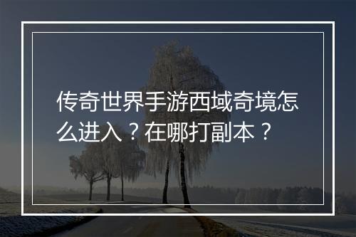 传奇世界手游西域奇境怎么进入？在哪打副本？