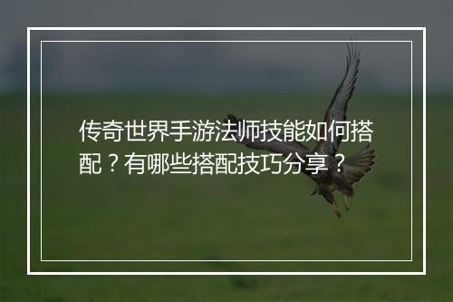 传奇世界手游法师技能如何搭配？有哪些搭配技巧分享？
