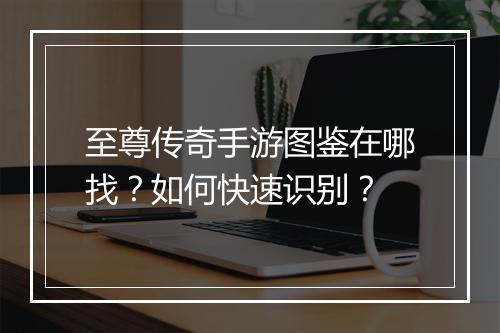 至尊传奇手游图鉴在哪找？如何快速识别？