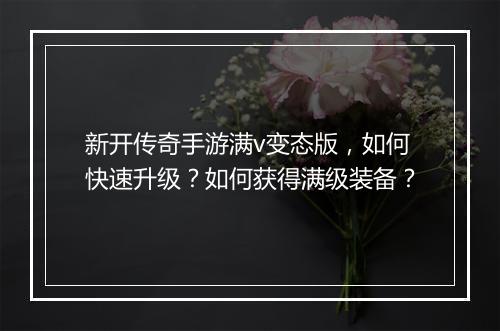 新开传奇手游满v变态版，如何快速升级？如何获得满级装备？